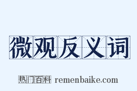 微观反义词是什么意思的图片